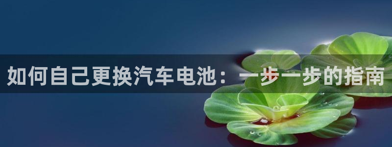 优发国际登陆