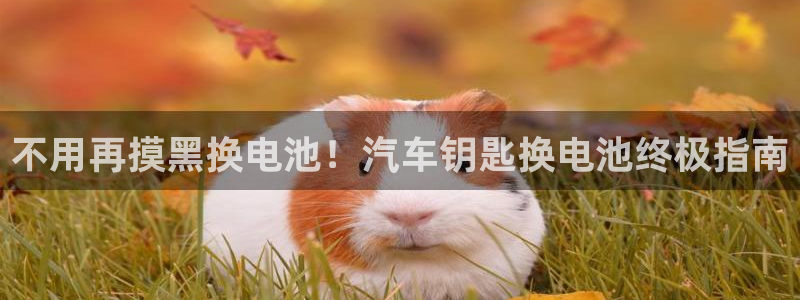 优发国际软件下载官网