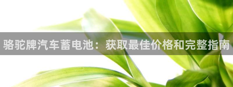 优发国际手机客户端下载安卓