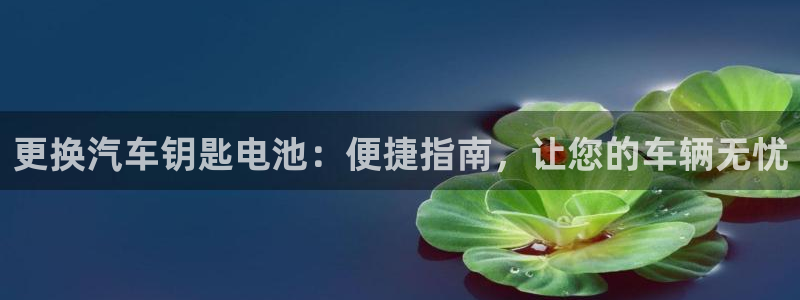 优发国际平台18岁能做吗