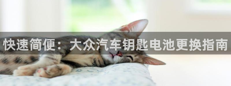 优发国际手机app下载安装