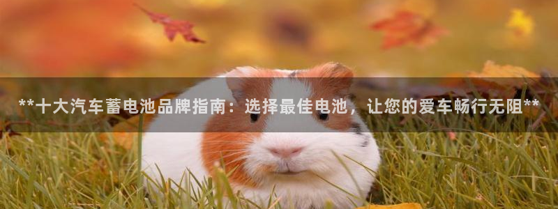 优发国际官网网站