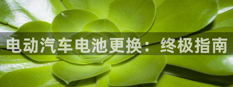 优发国际官网入口app下载
