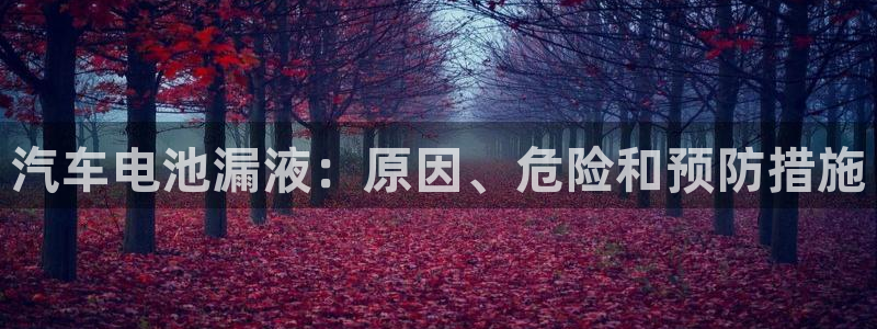 优发国际app官网下载安装手机版