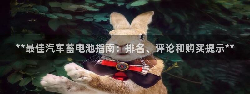 优发国际官方网手机版入口