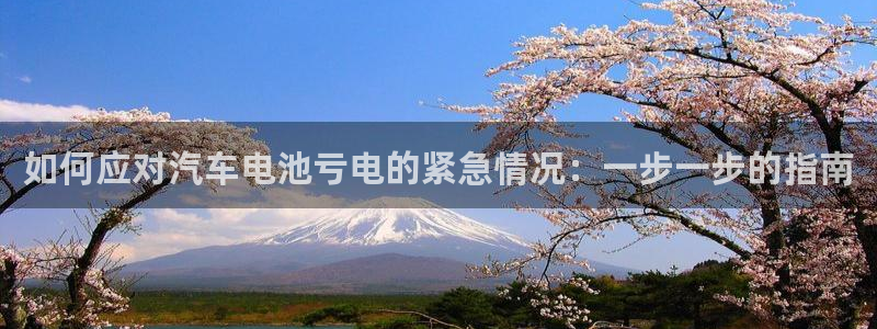 优发国际客服联系方式查询