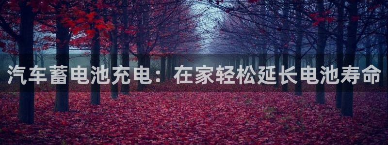 优发国际登录l8