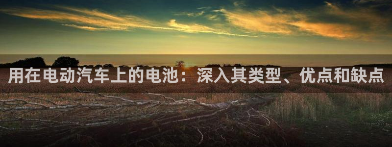 优发国际软件下载官网