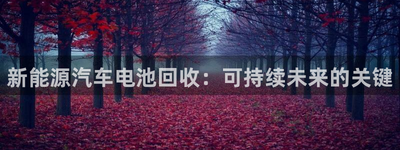 优发国际游戏官网