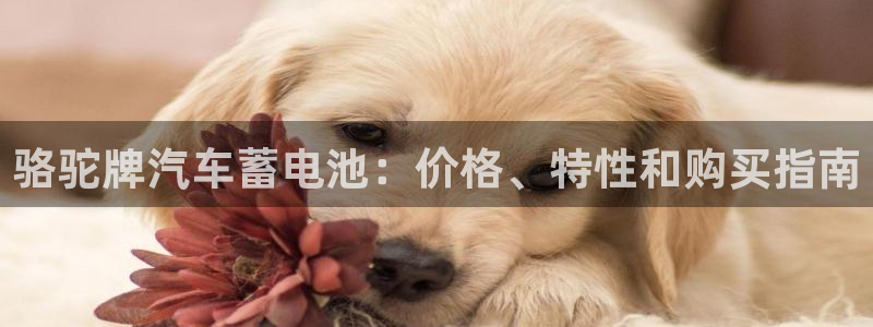 优发国际官网手机版入口