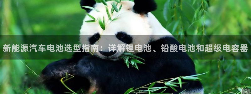 优发国际平台u8