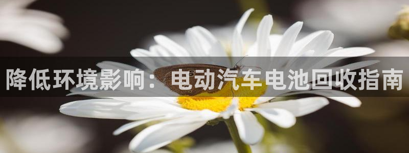 优发国际手机版网站下载