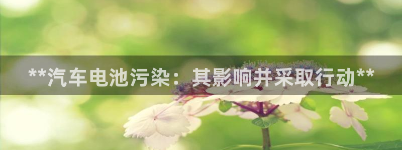 优发国际是大平台吗是真的吗