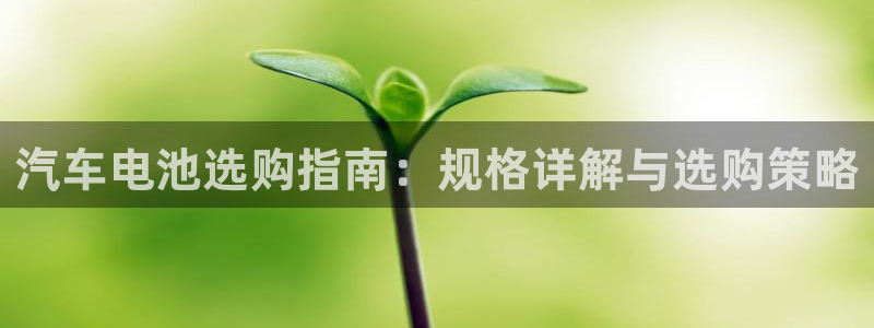 优发国际网页