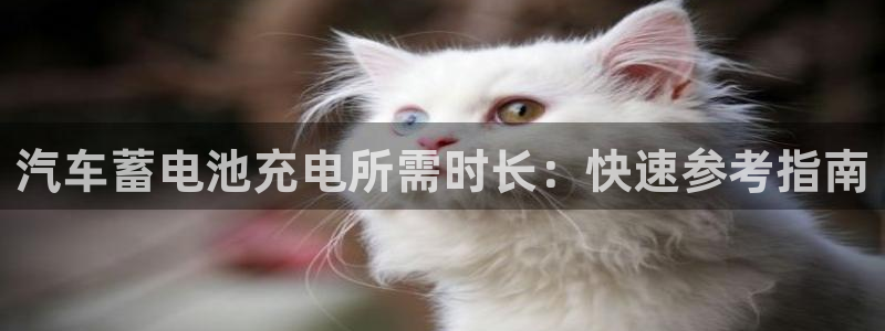 优发国际客服联系方式是什么
