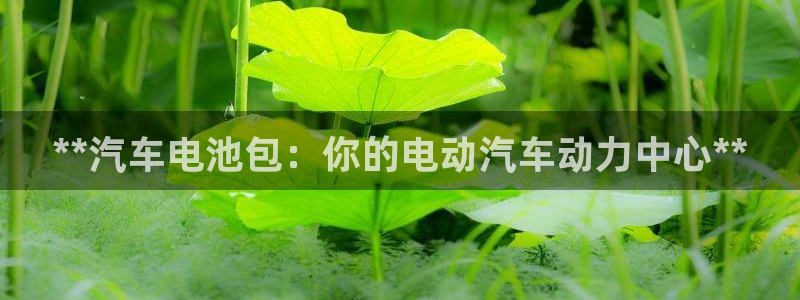 优发国际官网手机版代理