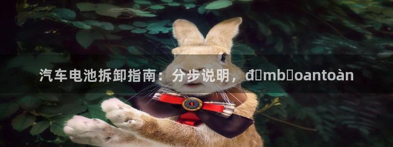 优发国际游戏n