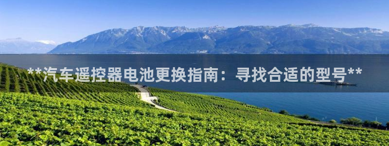 优发国际官方网手机版app