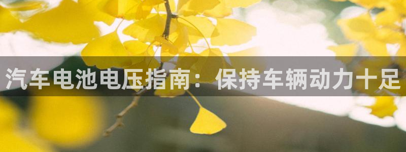 优发国际客服联系方式