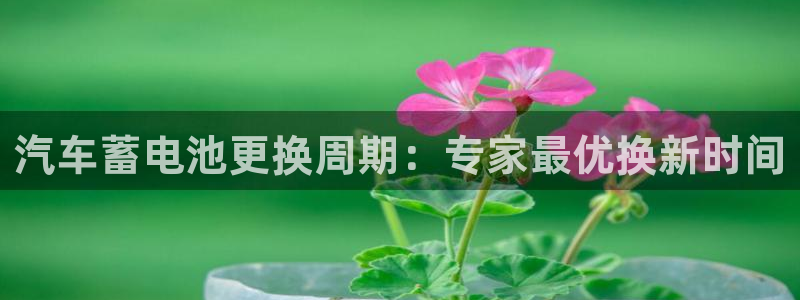 优发国际官网值是多少