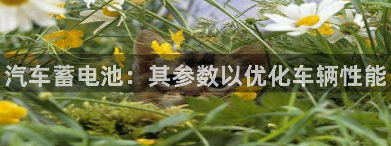 优发国际注册平台