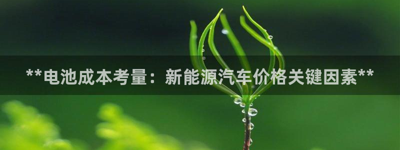 优发国际手机版网站下载