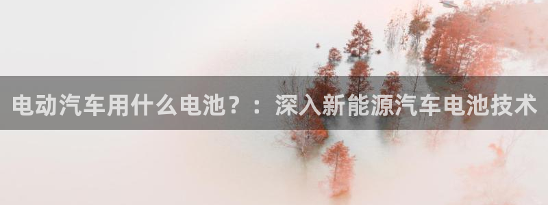 优发国际平台g80