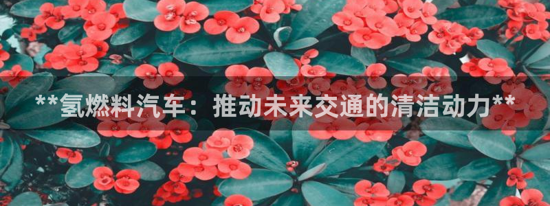 优发国际官网入口app下载苹果