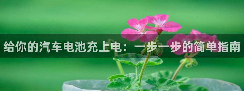 优发国际手机版客户端下载安装