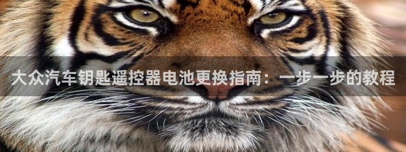 优发国际下载安装