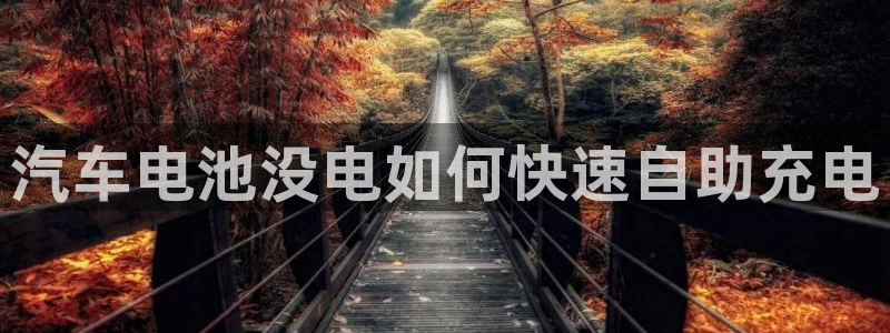 优发国际游戏17