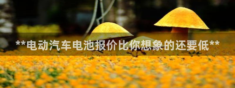 优发国际集团股份有限公司官网