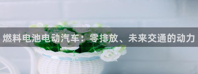 优发国际网官网17o8