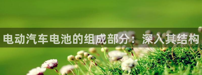 优发国际集团股份有限公司是国企吗