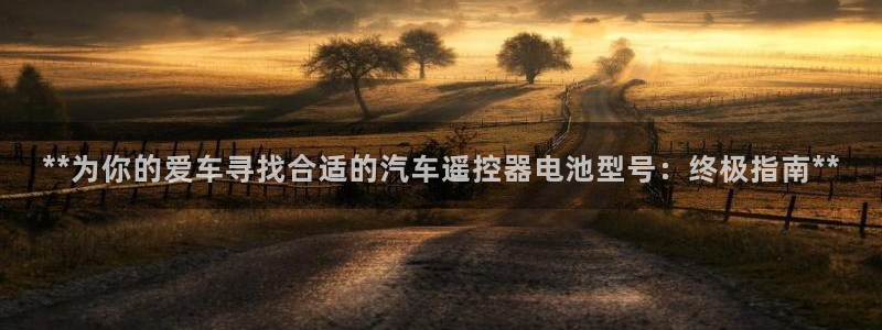优发国际多少钱