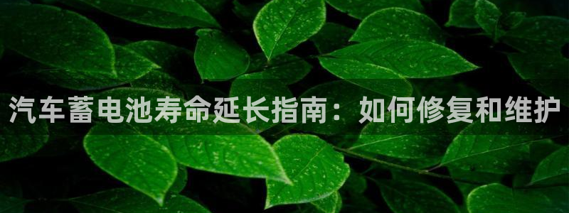 优发国际集团股份有限公司官网