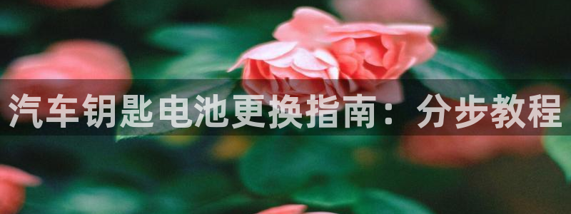 优发国际这个平台怎么样可靠吗