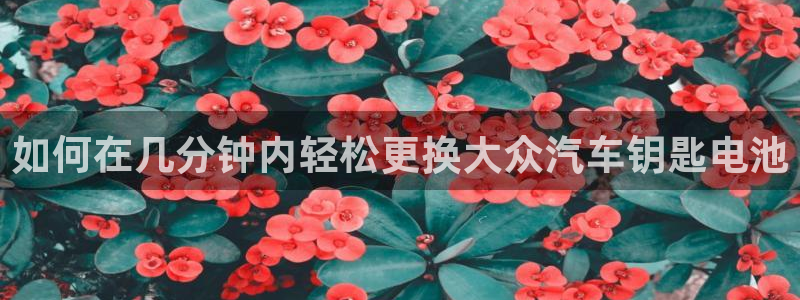 优发国际官方网手机版入口