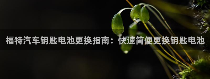 优发国际官方网手机版下载