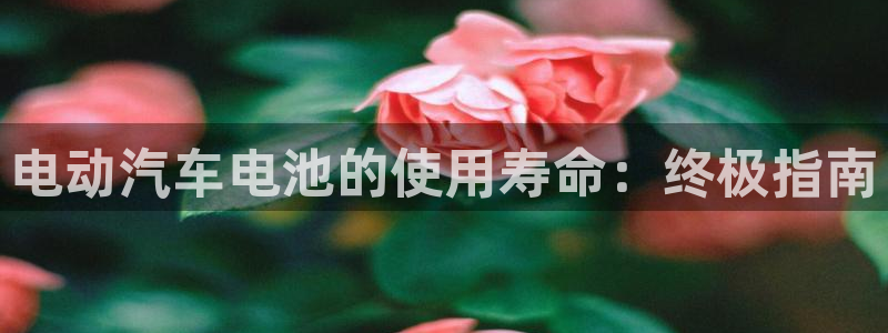 优发国际平台u8怎么样可靠吗