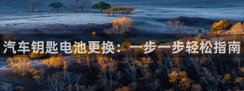 优发国际下载app
