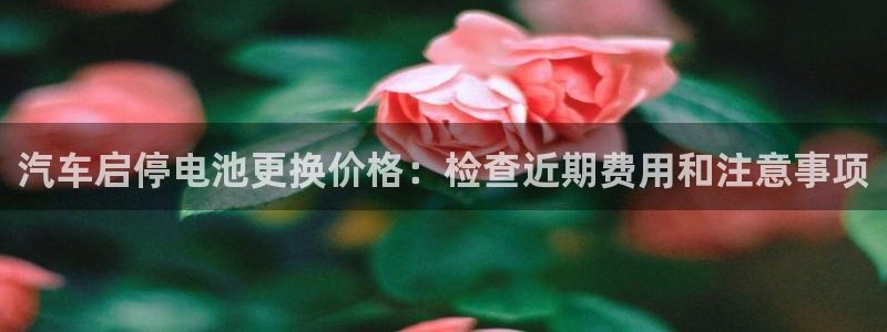 优发国际游戏官方网站入口