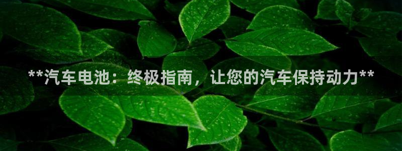 优发国际网官网