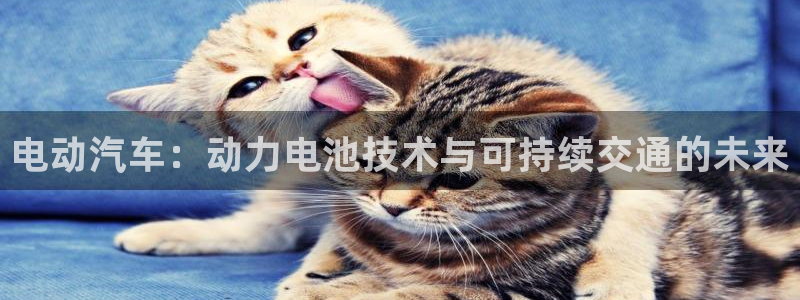 优发国际客服联系方式是什么