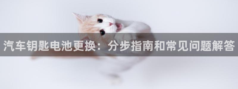优发国际多少钱