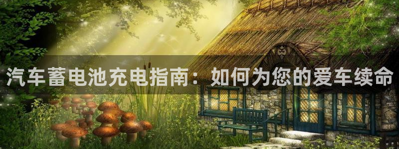 优发国际游戏17