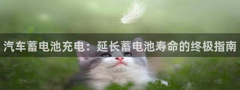 优发国际客服联系方式
