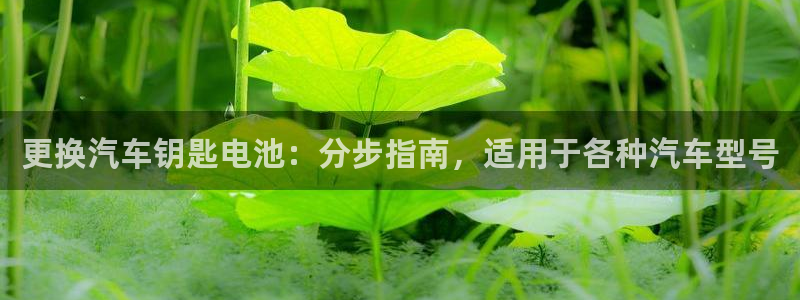 优发国际手机版客户端