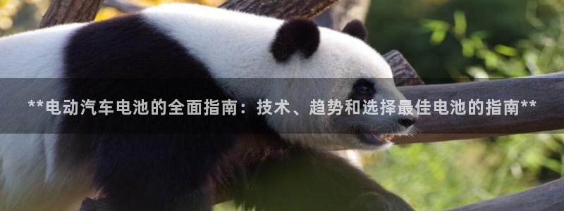 优发国际网站178