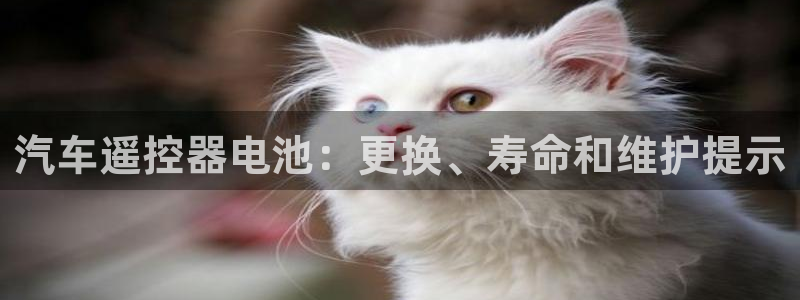 优发国际官方网手机版下载苹果